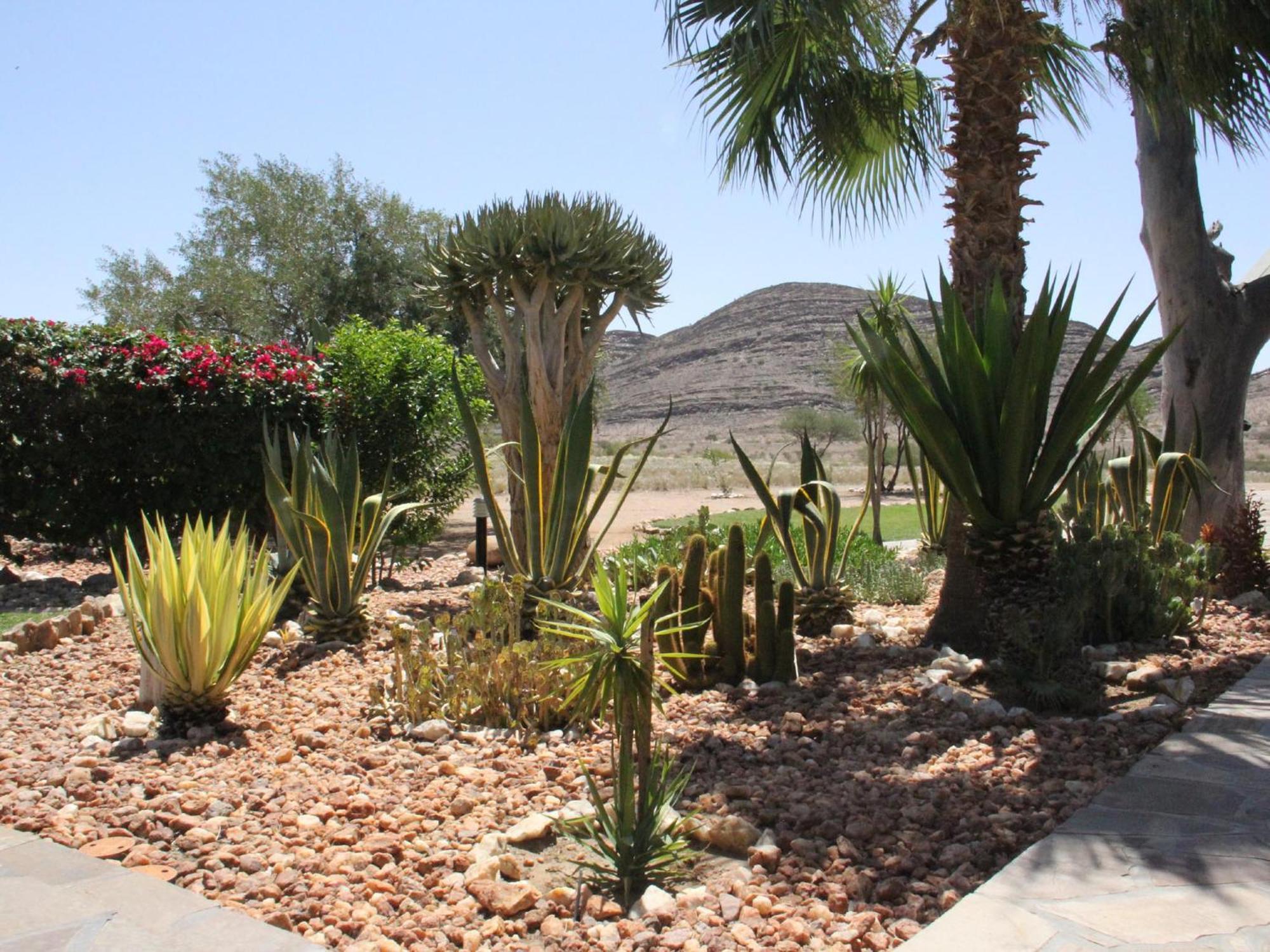 Rooisand Desert Ranch Chausib Δωμάτιο φωτογραφία